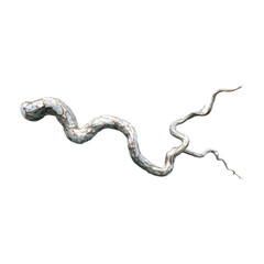 Obraz premium A gnarled and twisted root or branch with a rough textured surface isolated on transparent background