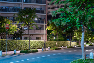 夜のドライブウェイ：遠景に灯るビルの明かり
