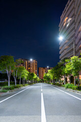 夜の並木道と直線の白線が導く都市風景