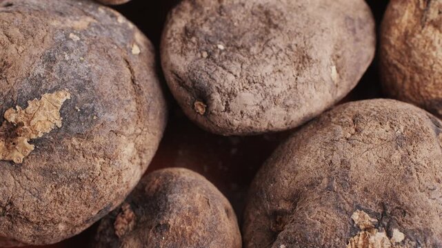 Black and White chunos potatoes from Peru, chuno food from potato, bolivian peruvian traditional dish. 