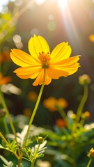 Vibrant yellow flower in sunlight