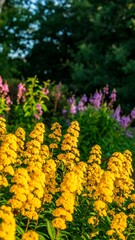 Vibrant yellow flowers in a garden setting