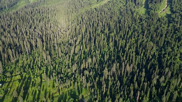 Aerial View of Arang Kel, Azad Kashmir &mdash; Scenic Mountain Village Surrounded by Lush Green Terraces, Dense Pine Forests, and Majestic Peaks under Clear Evening Light