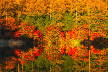 いずみ湖の紅葉　下諏訪町