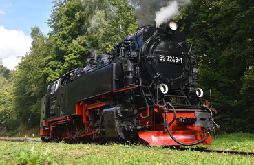 Naklejka premium Dampflok der Harzer Schmalspurbahn 