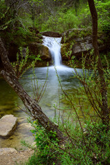 Parc naturel de la Garrotxa