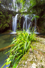 Parc naturel volcanique de la Garrotxa