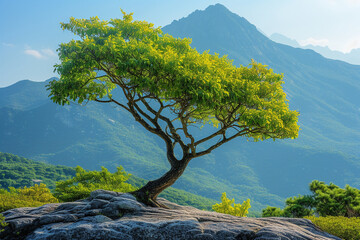 Obraz premium A beautiful, lush green tree stands tall and proud on majestic mountain, adding a touch of vibrant color to breathtaking landscape 