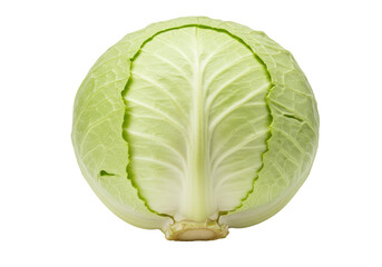 Fototapeta premium Fresh green cabbage isolated on transparent background, healthy vegetable for salads and cooking, nutritious ingredient
