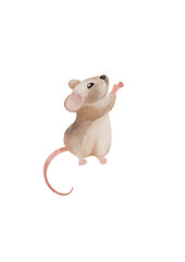 mouse, watercolor, field mouse