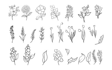 Flower Line Art Doodle Set