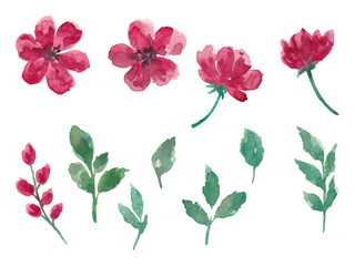 Watercolor Floral Isolated Clipart Set Red