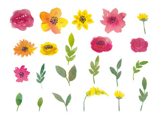 Watercolor Floral Artistic Individual Ilustration