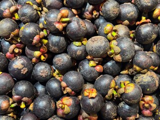 mangosteen on the market
