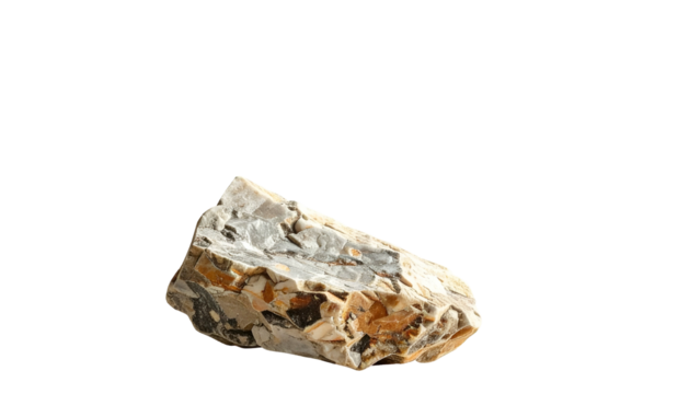 Close-up of a unique, textured rock, showcasing natural colors and patterns