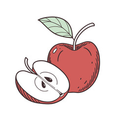 Fresh Fruits Color Illustrations Pack – Apple, Orange, Banana, Mango, Grapes, Strawberry, Pineapple, Watermelon, Papaya, Kiwi Flat Vector Set