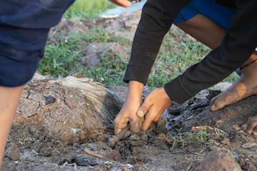 Obraz premium Boys playing the in mud, digging the mud sand in the holiday vacations with the barefoot