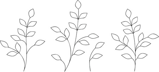 Black and white floral vector pattern illustration for vintage spring and summer decoration