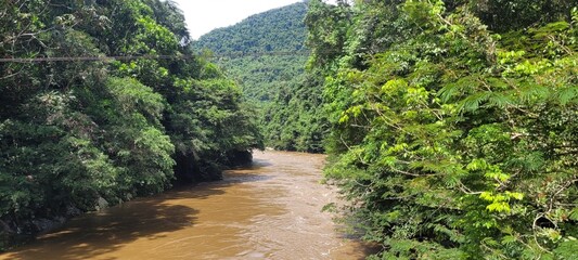 Naturaleza: selva y agua en abundancia 