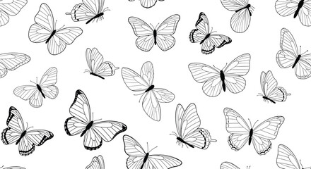 A charming collection of detailed monochrome butterflies adorning a crisp white background.