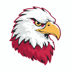 Obraz premium A detailed illustration of an eagle's head, showing sharp details and a determined expression