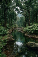 Tropical rainforest stream flowing through lush jungle