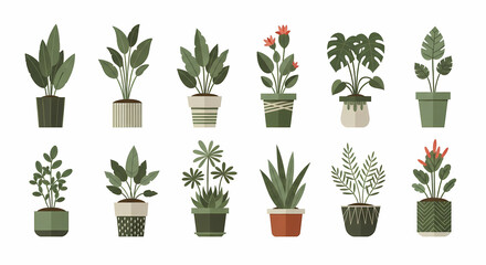 Trendy botanical illustration featuring a variety of potted houseplants, perfect for adding a touch of nature to modern interiors and bringing a vibrant, fresh feel.