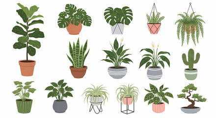 Lush collection of trendy indoor plants, perfect for adding a touch of green to any space and creating a calming, nature-inspired atmosphere at home or office