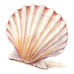Watercolor scallop seashell with pink and orange hues marine isolated on a transparent background