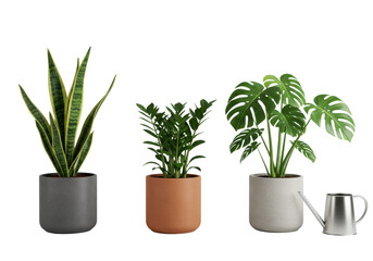 Obraz premium Three distinct potted plants in elegant planters with a minimalist watering can, on a seamless transparent, high key studio shot, concept of modern home decor