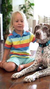 Child Petting Large Dog on Shiny Floor. Blonde Boy and Spotted Dog. Playful Indoor Companionship.