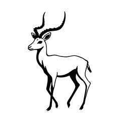 Obraz premium Impala. Impala simple black and white line art vector logo