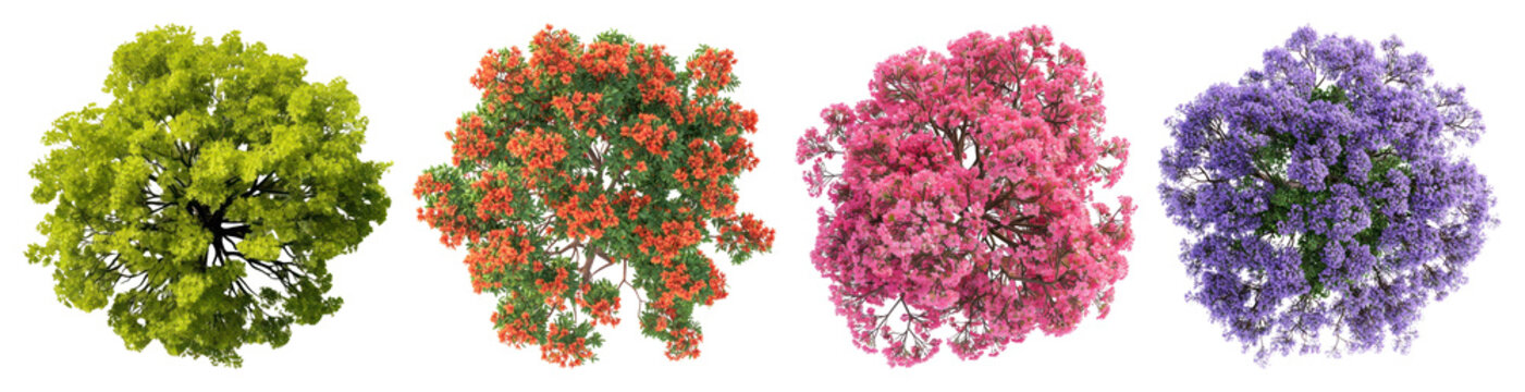 PNG Colorful blooming tree tops, element set on transparent background