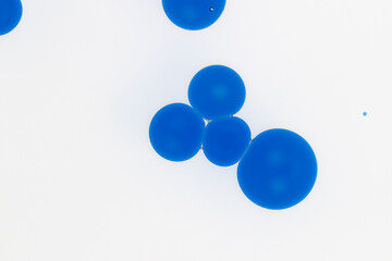Minimalistic macro photo of vivid blue oil drops floating on water surface. Cosmetic texture representing hydration, active ingredients, serum, skincare science or hyaluronic acid.