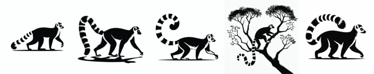 vector black and white silhouette of a lemur © Vector