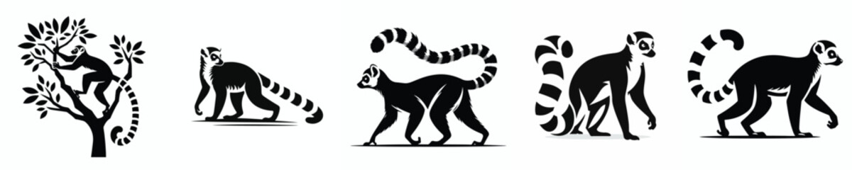 vector black and white silhouette of a lemur © My_Vector