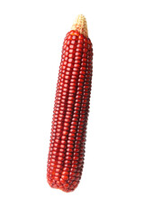 One ripe red corn cob isolated on white
