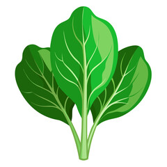 Fresh green spinach leaves for healthy eating and vibrant nutrition, a leafy vegetable perfect for salads, smoothies, and healthy meals, promoting wellness and a balanced diet