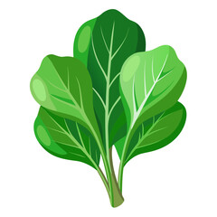 Fresh vibrant spinach bunch, a healthy ingredient for summer salads, smoothies, and vegetarian dishes, offering nutrition and vitality for a balanced lifestyle, ideal for food blogs