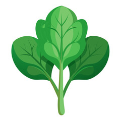 Fresh green spinach leaves bursting with healthy goodness, perfect for vibrant salad recipes and nutritious meal plans, embodying wellness and organic living with vector clarity