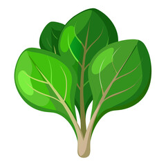 Fresh vibrant spinach bunch, a delightful addition to any healthy recipe or food-related project, bringing a touch of nature's goodness to your designs and inspiring wellness