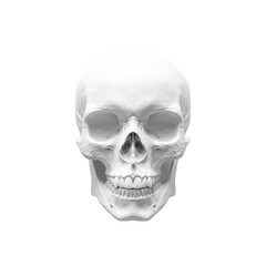 Obraz premium A detailed anatomical human skull with realistic bone texture and empty eye sockets isolated on transparent background