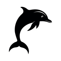 dolphin isolated on white background