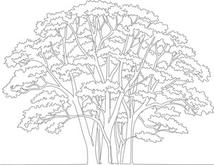 Line Art Detailed Banyan Tree Silhouette Minimalist Nature Illustration