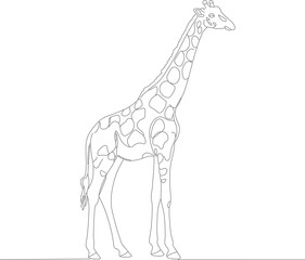 Simple Line Art Giraffe Standing Tall Wildlife African Animal Illustration