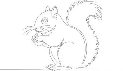 Simple Outline Illustration of a Squirrel Holding Nut Wildlife Animal