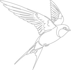 Delicate Outline Drawing Flying Swallow Bird Silhouette Graphic Illustration