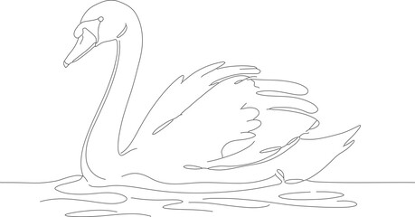 Simple Outline Drawing of a Graceful Swan Floating on Water Body