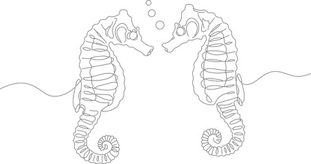 Minimalist Line Art Two Seahorse Marine Life Aquatic Creature Illustration