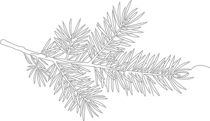 Detailed Line Art Fir Tree Branch Botanical Illustration Artwork